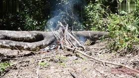 野外求生爆料视频大全最新,揭秘最新爆料视频大全